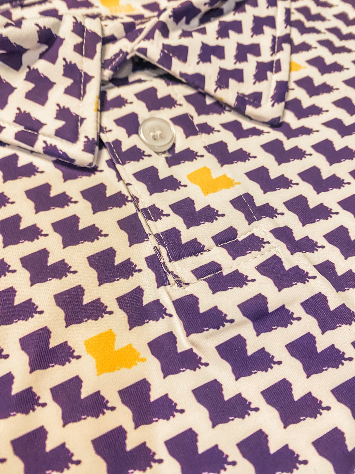 Louisiana State Polo